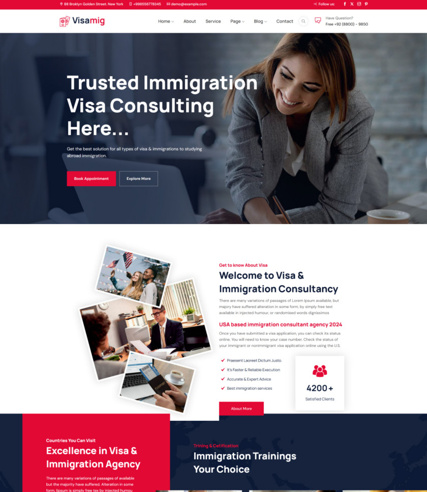 移民和签证咨询网站模板